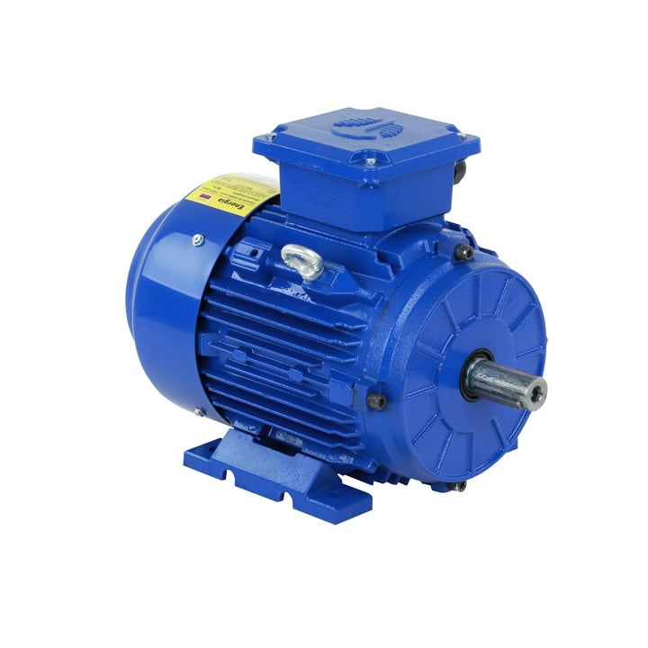Motor trifásico TECHTOP con estructura de hierro fundido de alta resistencia. Diseño versátil para montaje en patas o bridas, ideal para aplicaciones industriales pesadas