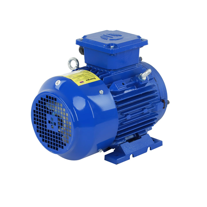Motor trifásico TECHTOP certificado bajo norma IEC 60034-30-1. Máxima confiabilidad y rendimiento en condiciones industriales desafiantes