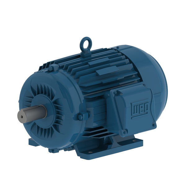 Motor trifásico W22 con carcasa de hierro fundido y montaje B5/B14. Cumple con norma IEC 60034-30-1, bajo ruido y temperatura para aplicaciones industriales exigentes