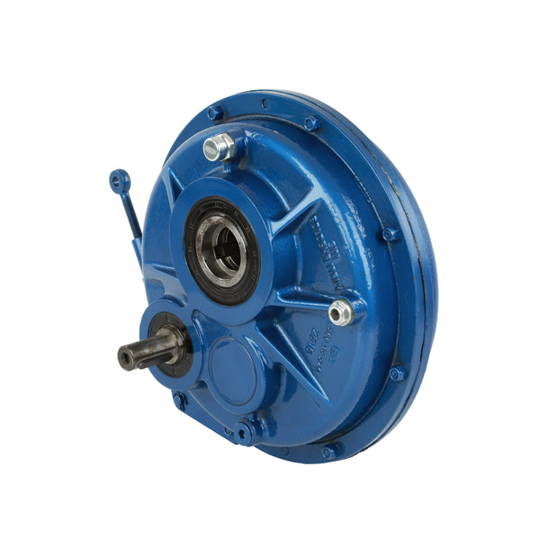 Motoreductor pendular italiano 190HP con engranajes de acero y carcasa de hierro fundido. Relación de reducción 15:1 a 30:1. Ideal para transmisiones industriales pesadas